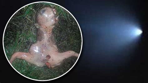 Ugly ‘alien Is Found In San Jose California After Ufo Sighting Metro