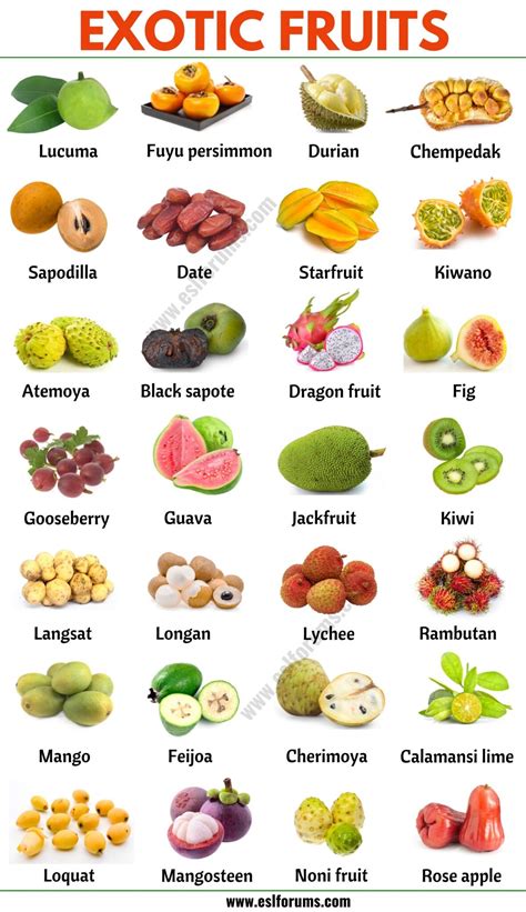 Exotic Fruits List Of 45 Exotic Fruits From All Around The World