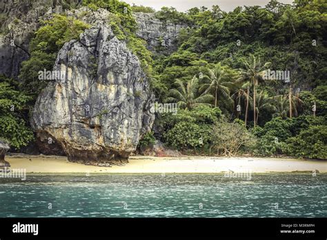 Tropical Island Beach Landscape With Cliff Rock And Palm Trees And