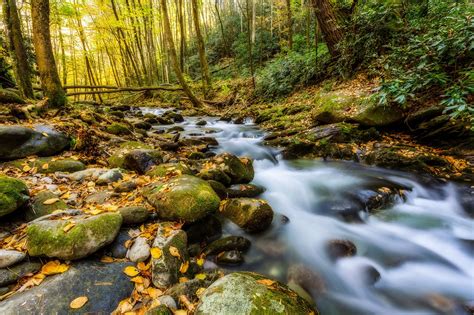Great Smoky Mountains Usa Parks Stones Forests Autumn Stream