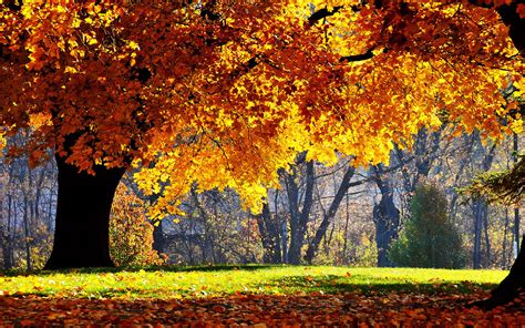 wallpapers: Beautiful Autumn Scenery Wallpapers