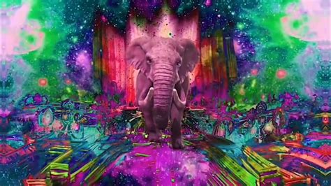 Psychedelic Elephant Youtube