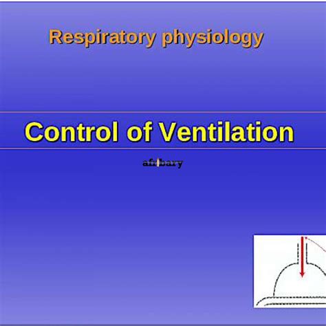 Respiratory Physiology Control Of Respiration Afribary
