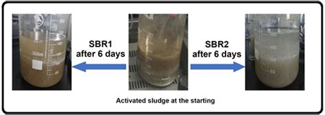 Effect Of Deionization On Activated Sludge Characteristics A Case