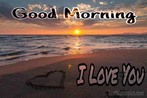 Top 51 Good Morning I Love You Hd Images Whatsapp Dp Best Status Pics