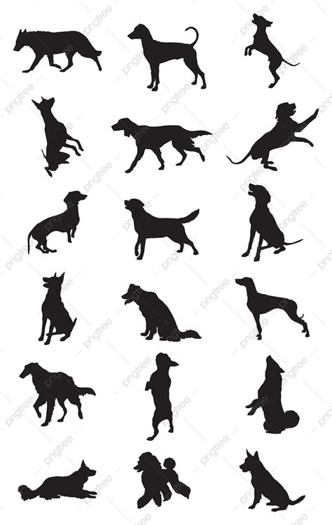 Vector Set Of Monochrome Different Breeds Dogs Silhouettes In Motion