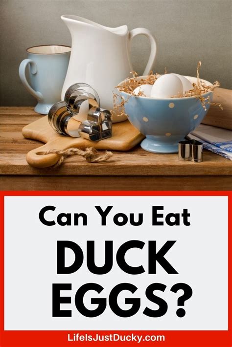 Maybe you would like to learn more about one of these? Duck Eggs Vs. Chicken Eggs, Why Duck Eggs Are Better ...