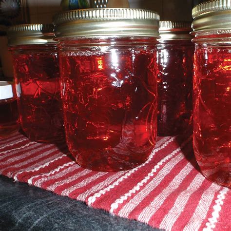 Delicious Wild Rose Jelly Recipe Real Food Mother Earth News Rose