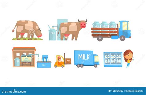 Stages Of Milk Production Infographics Cartoon Vector Cartoondealer