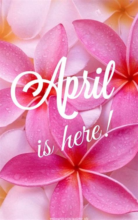 Pin By Beth Slack On Days Months Seasons Etc Hello April April