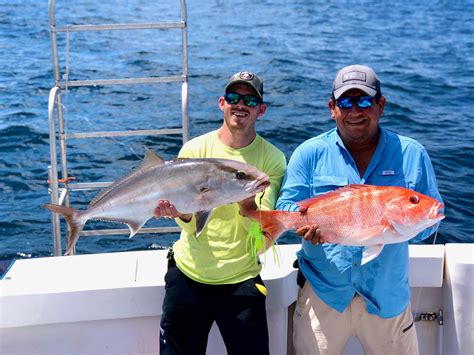 Everything You Need To Know About Amberjack Season 2022