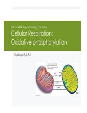 Pogil answer key photosynthesis and respiration + my pdf pogil answer key photosynthesis and respiration. POGIL Oxidative Phosphorylation KEY - Oxidative ...