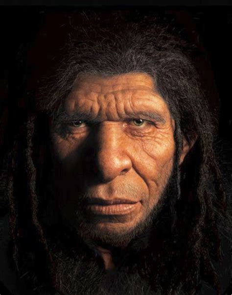 The Making Of A Caveman Ancient Humans Human Evolution Tree