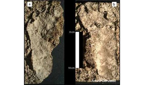Archaeologists Identify Oldest Human Footprints In North America Ancient Origins