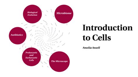 Intro To Cells By Amelia Ansell