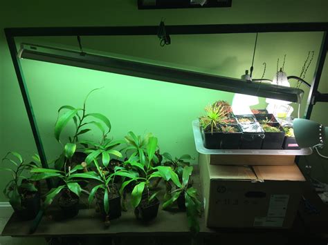 My Carnivorous Plant Setup Im Interested To Hear Your Opinion Or