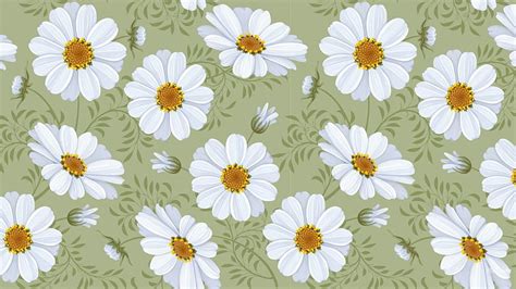 Spring Daisies Abstract Daisies Nature Spring Hd Wallpaper Peakpx