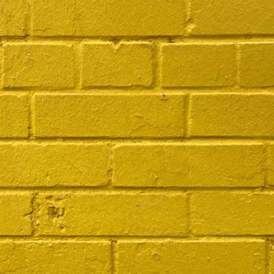 Sarı Duvar sariduvarorg Twitter