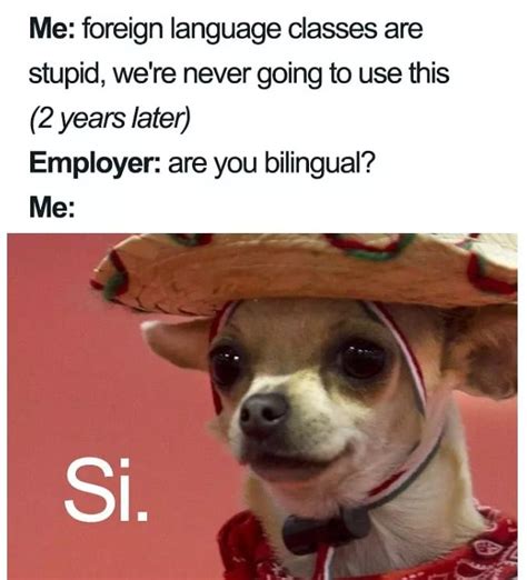Spanish Language Memes 05 The Language Nerds