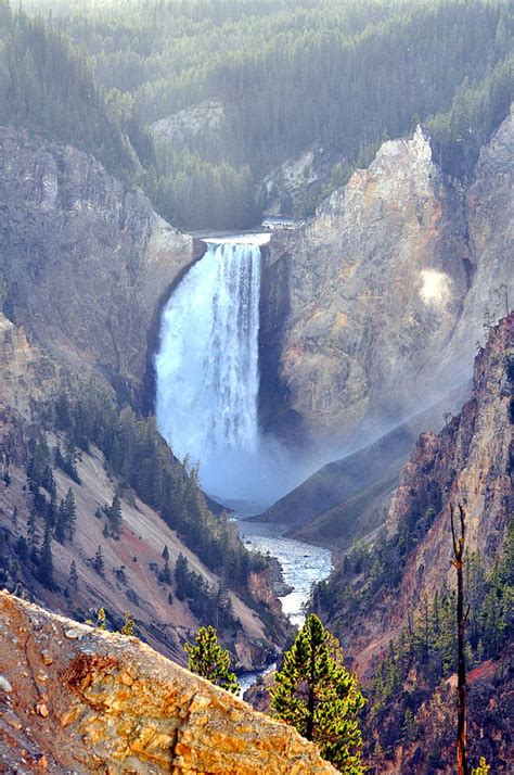 Lower Falls Yellowstone National Park Photograph By Lisa Holland Gillem