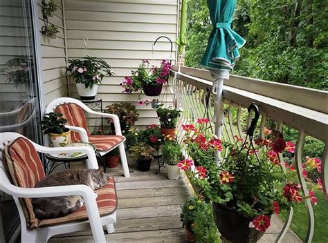 17 Balcony Garden Pictures For Inspiration From Our