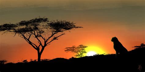 Travis Dixon African Sunset