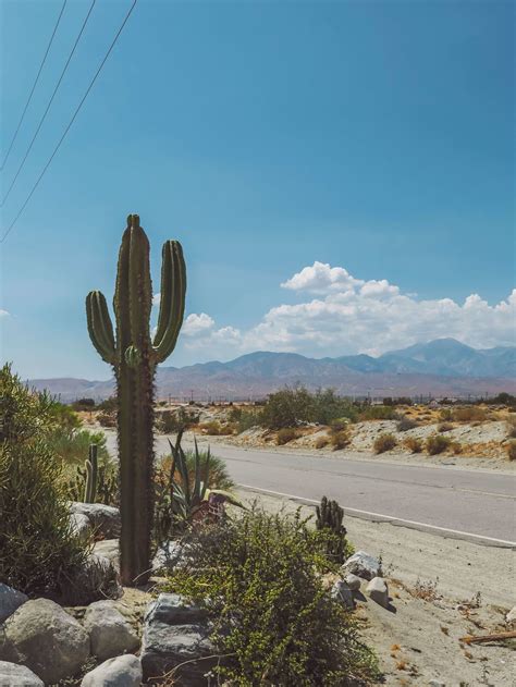 Palm Springs City Guide: 6 Things You Cannot Miss — Adrift Aesthetic