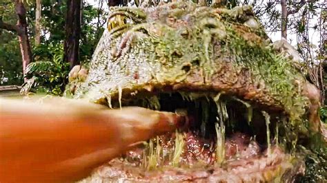 In un mondo post apocalittico, il giovane joel dawson deve combattere contro i mostri con lo scopo. Giant Frog Attacks! Scene - LOVE AND MONSTERS (2020) Movie ...