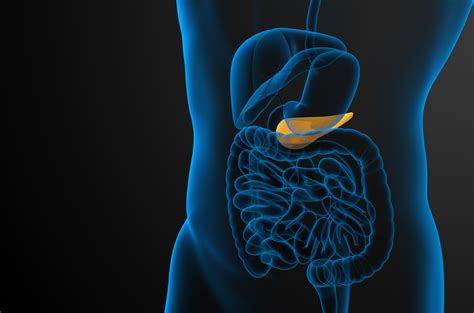 What Are The Treatment Options For Pancreatitis Qanda Johns Hopkins
