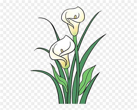 Calla Lilies Clipart Free