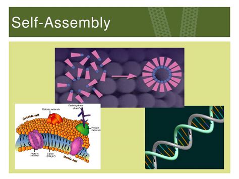 Ppt Nano 101 Exploring The Nanoworld Powerpoint Presentation Free