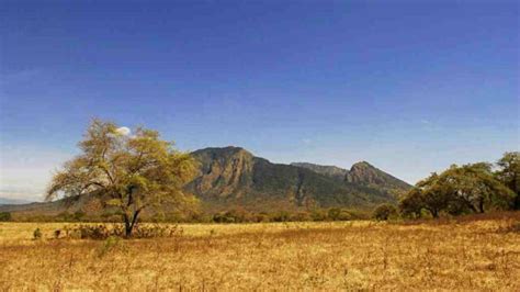 Baluran National Park Activities And Entrance Fee Idetrips