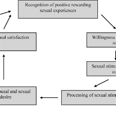 Model Of The Sexual Response In Women Based On Basson 13 Download Scientific Diagram