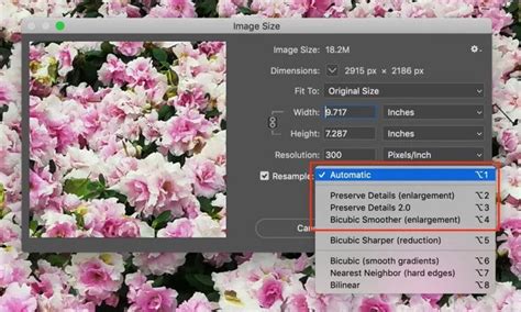Inches To Pixels How To Resize Images Without Losing Quality