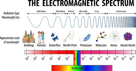 Science Electromagnetic Spectrum Diagram 2687234 Vector Art At Vecteezy
