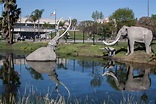 Guide to the La Brea Tar Pits and Page Museum