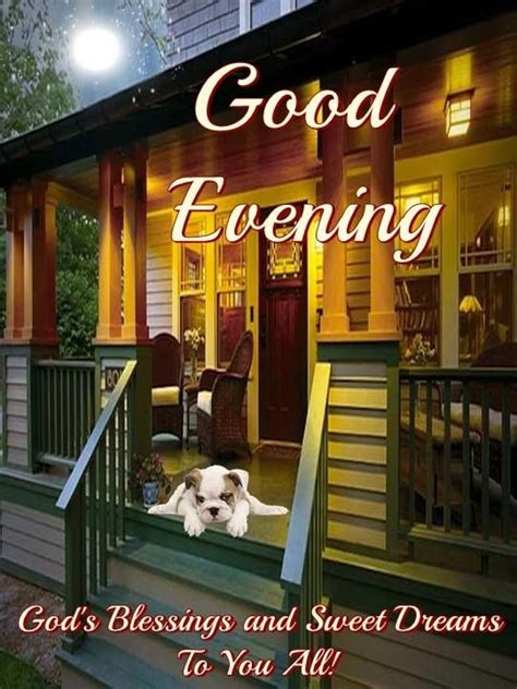 Mother dog laying on puppies. Dog Laying On Porch - Good Evening Pictures, Photos, and Images for Facebook, Tumblr, Pinterest ...