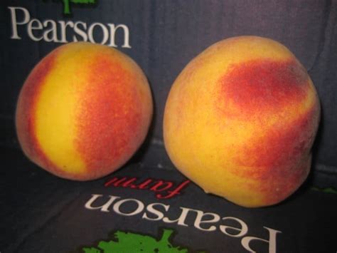 History Of Peaches In Georgia