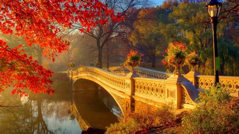 Central Parks Bow Bridge In Autumn Hd Wallpaper Background Image