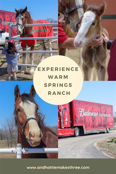 Spotloan.com has been visited by 10k+ users in the past month Visit Warm Springs Ranch - And Hattie Makes Three | Warm ...
