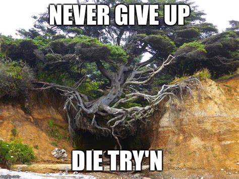 Image Tagged In Never Give Up Imgflip