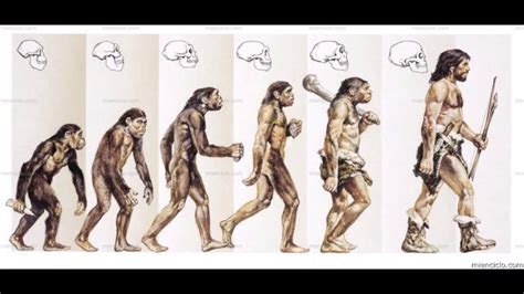 El Proceso De Evoluci N Humana Youtube