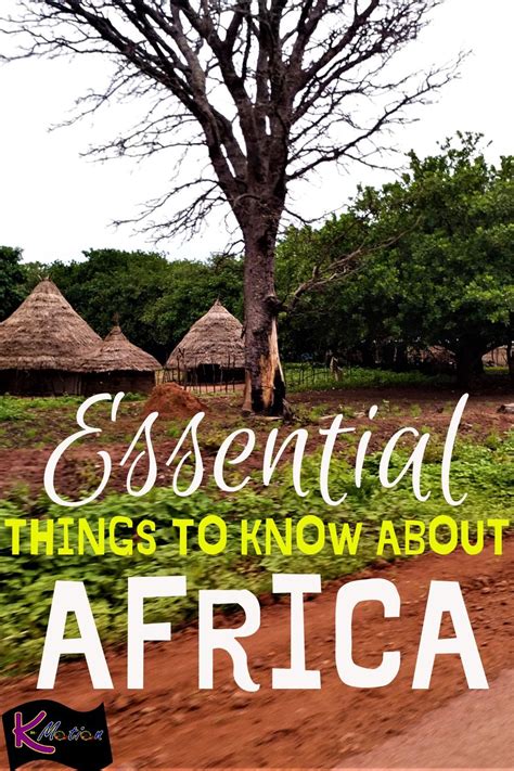 Essential Things To Know About Africa Africa Travel Guide South