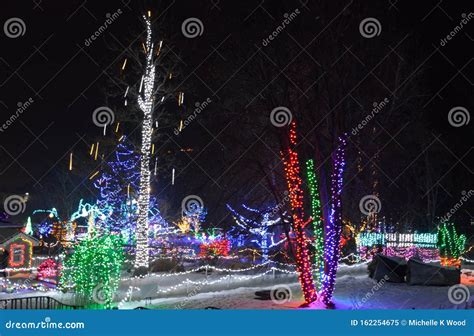 Christmas Holiday Colorful Outdoor Decorated Light Scenes Of Trees