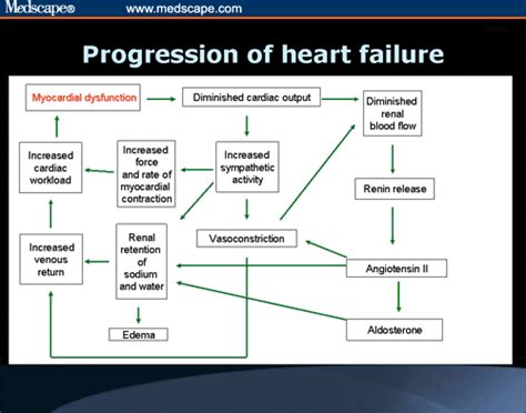 Heart failure is a condition where the heart fails to pump and circulate an adequate supply of blood to meet the requirements of the body. Optimizing Outcomes With Pharmacologic Management in ADHF ...