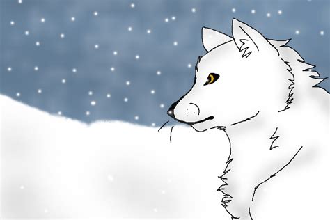 Animation Arctic Fox By Midnightmoon990 On Deviantart