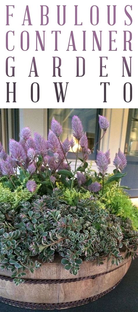 Fabulous Container Garden How To Come And See How Easy It Is To Create