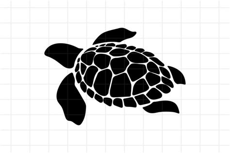 Turtle SVG Sea Turtle Cut File For Cricut 669257