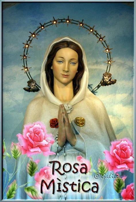 Virgen María Ruega Por Nosotros Virgen Rosa MÍstica Divine Mother