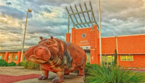 5 Of The Most Unusual Texas High School Mascots